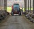 farm blog 6 opt