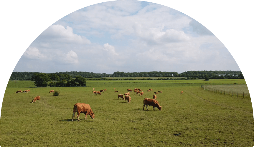 farm home image opt