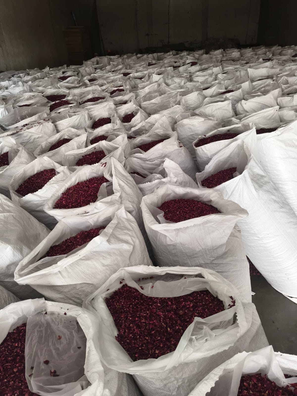 Dried rose petals - SF International Pakistan